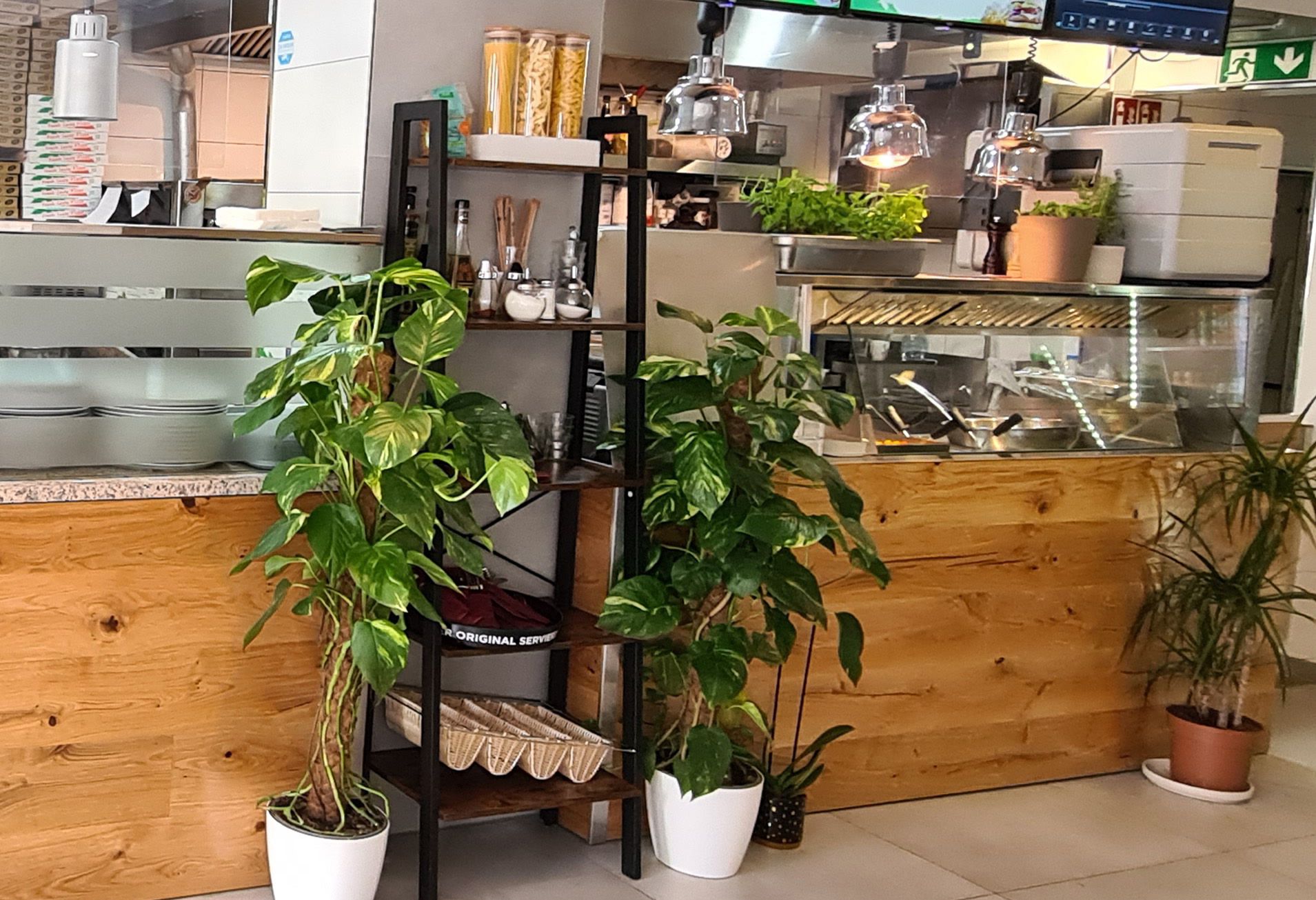 Galeriebild 21